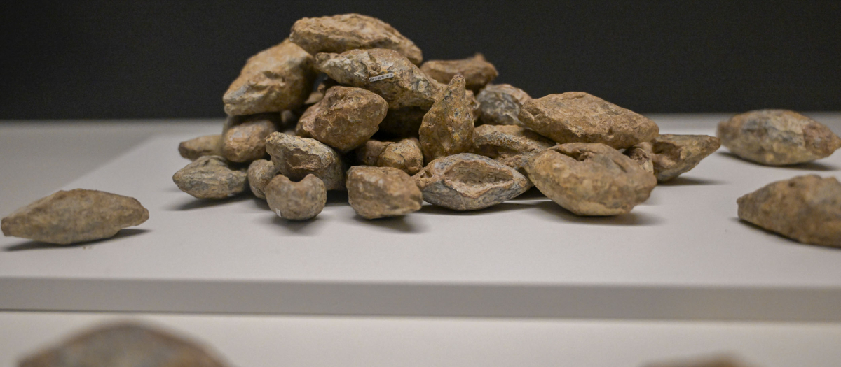 Los trabajos de excavación llevados a cabo durante la última campaña arqueológica en el Yacimiento Arqueológico Cruz de Mayo han sacado a la luz un hallazgo sorprendente, un total de 89 proyectiles de plomo y unos 10 proyectiles de piedra