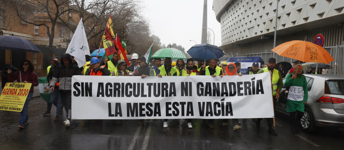 Agricultores de municipios sevillanos como Utrera, Los Palacios, Las Cabezas de San Juan o Arahal, entre otros, durante la manifestación convocada este lunes en la capital hispalense, que ha comenzado en el entorno del Estadio Benito Villamarín hasta llegar a la Subdelegación del Gobierno, en la Plaza de España, para reclamar entre otras medidas la derogación de la Agenda 2030