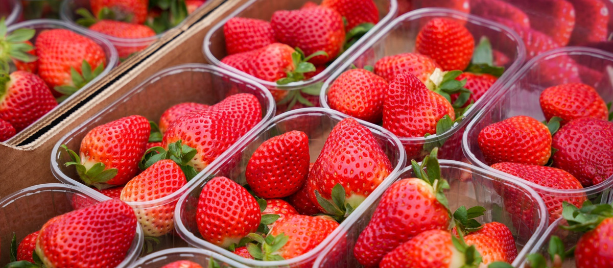 Fresas de Huelva