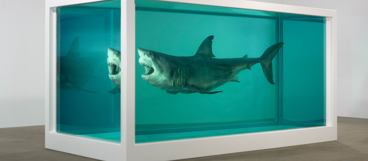 Obra de Damien Hirst