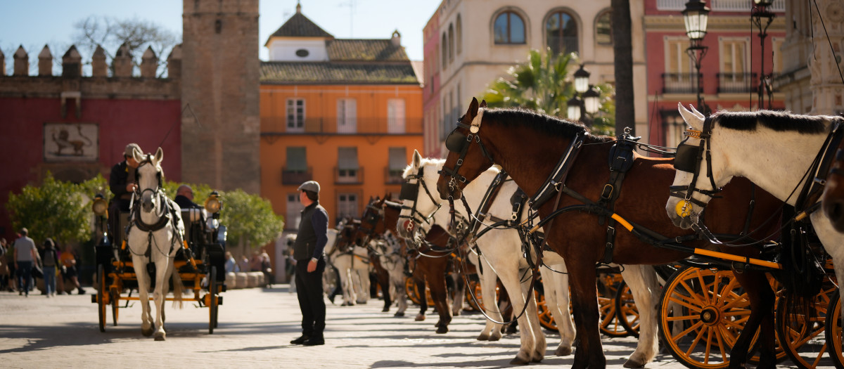 Turistas por las calles de Sevilla