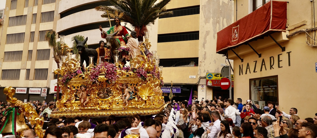 Las tradicionales palmas acompañan a Nuestro Padre Jesús a su Entrada en Jerusalén, María Santísima del Amparo y San Juan Evangelista, en la salida procesional de la Cofradía de la Pollinica de Málaga.