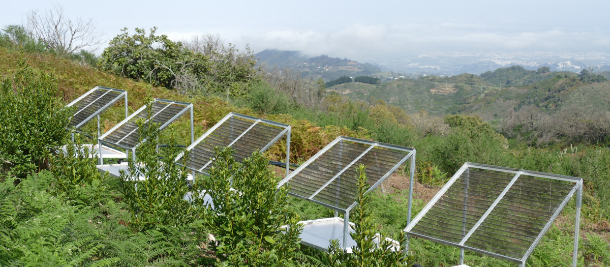 Colectores de agua de niebla en Canarias