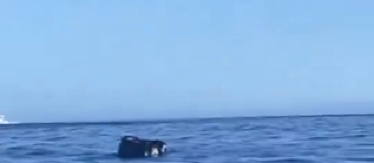 Momento en el que el coche caído desde un ferry en Canarias comienza a hundirse