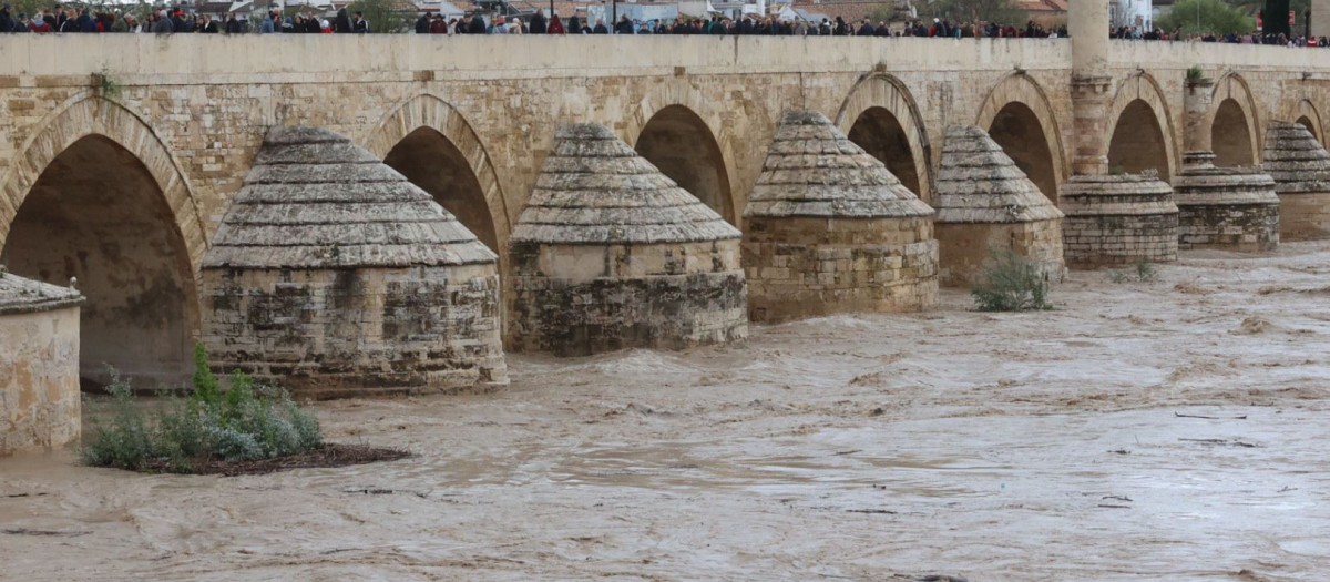 Caudal actual del río Guadalquivir a su paso por Córdoba.