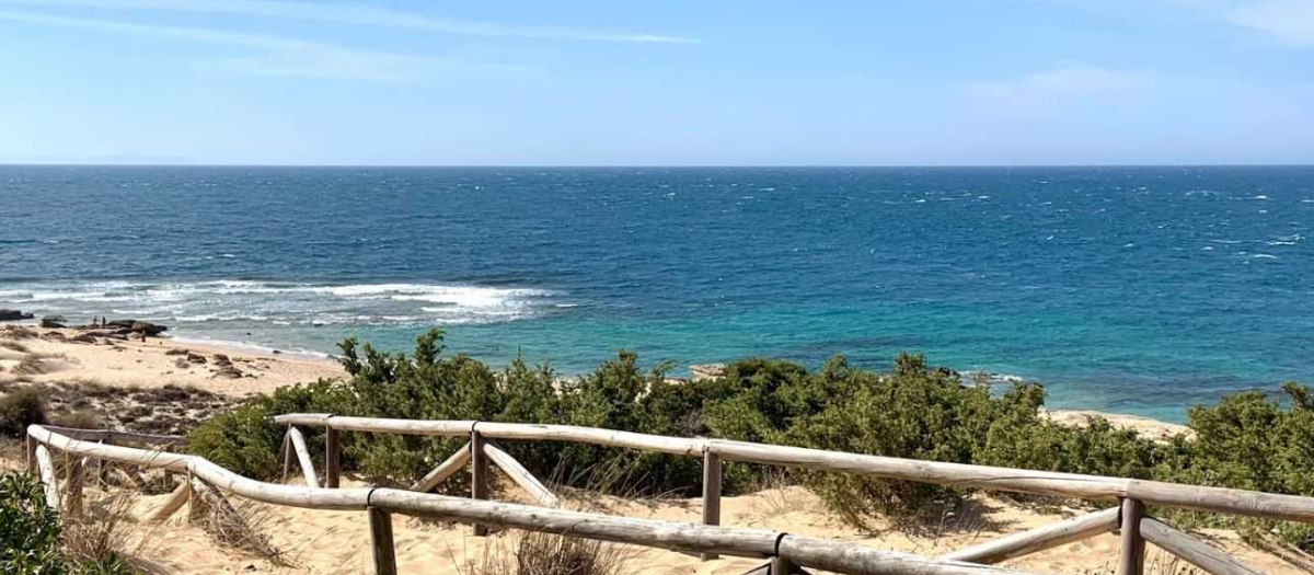 Playa de Bolonia