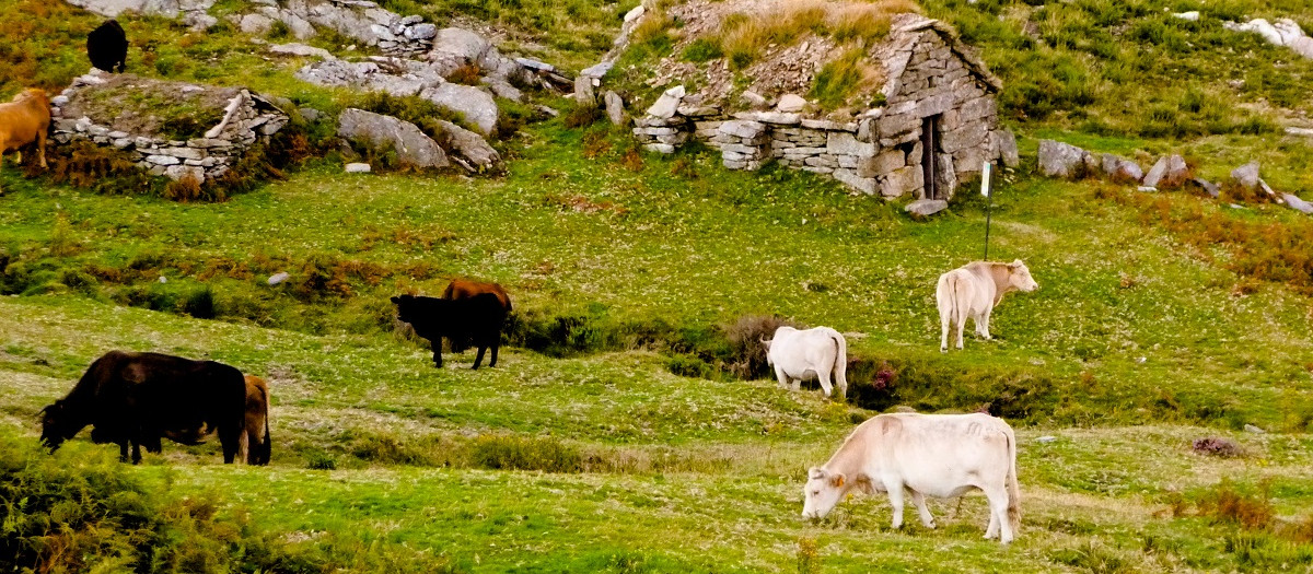 Avión, pueblo interior de la provincia de Orense que destaca por sus recursos naturales y culturales