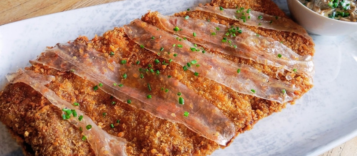 Cachopo