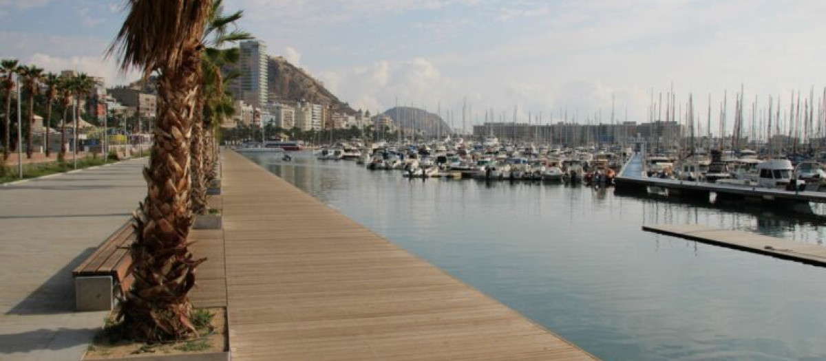 Paseo puerto de Alicante