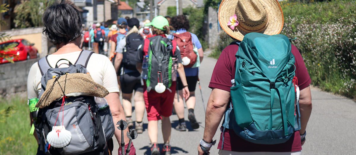 Camino de Santiago