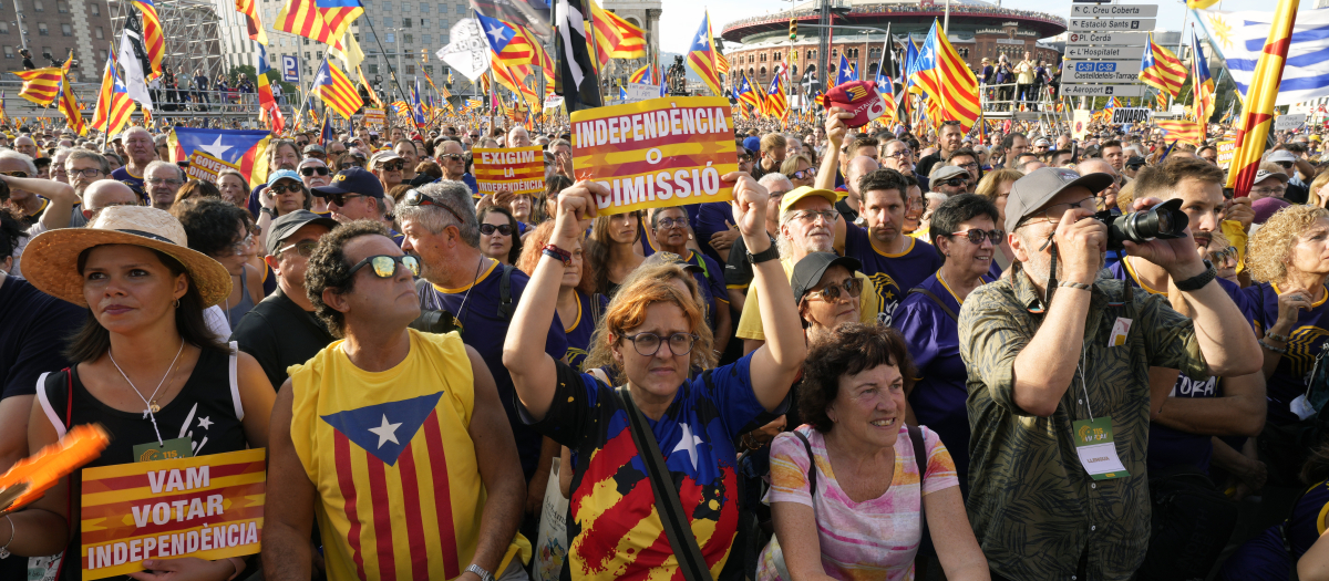 Manifestación independentista por la Diada, en Barcelona