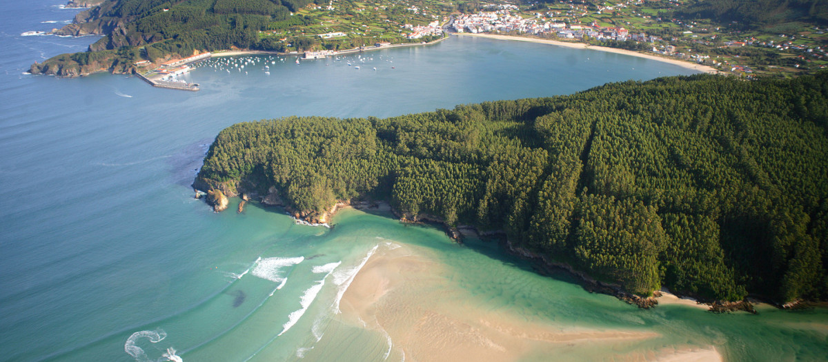 Cedeira