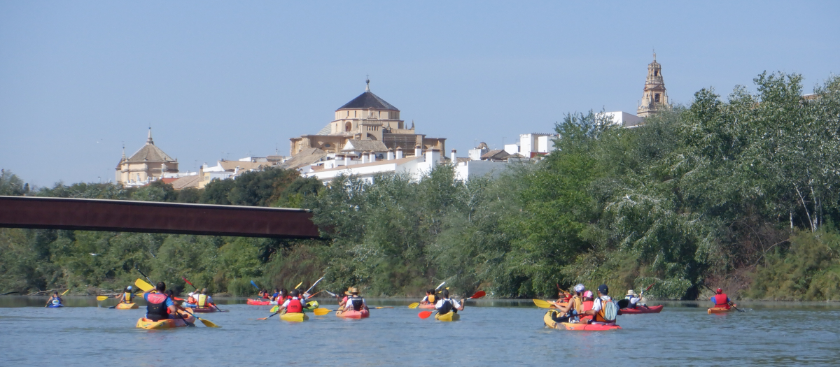 Piragüismo en el río Guadalquivir