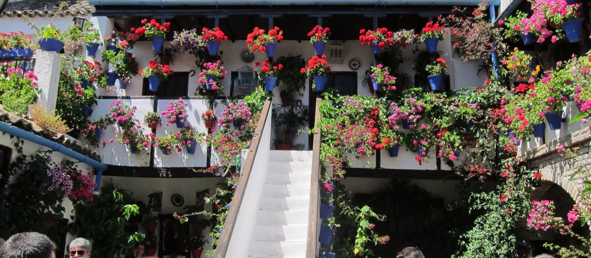 Patio San Basilio, 50, sede de la Asociación Amigos de los Patios.