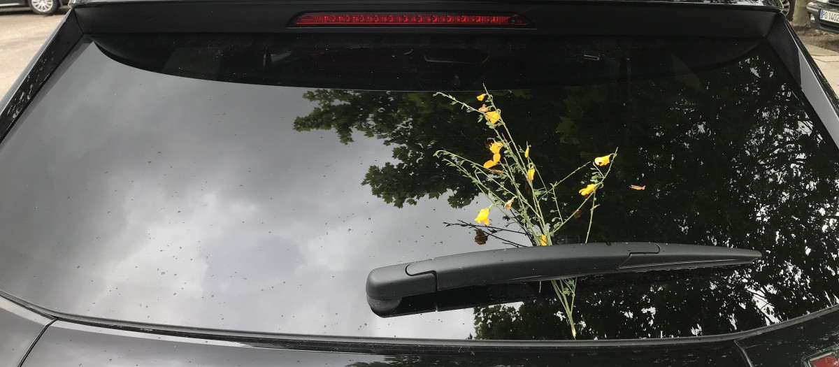 En el mes de mayo en Galicia existen muchas tradiciones relacionadas con flores