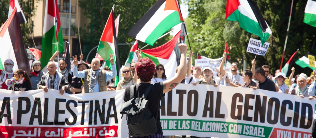 Decenas de personas durante una manifestación por Palestina