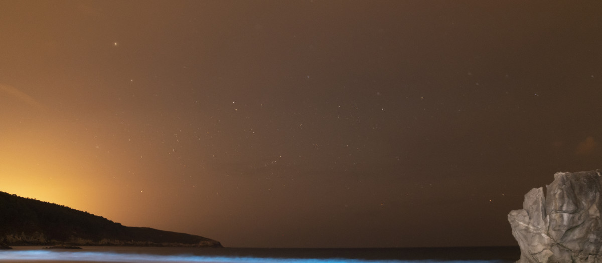 El fenómeno conocido mar de ardor en una playa de la provincia de La Coruña