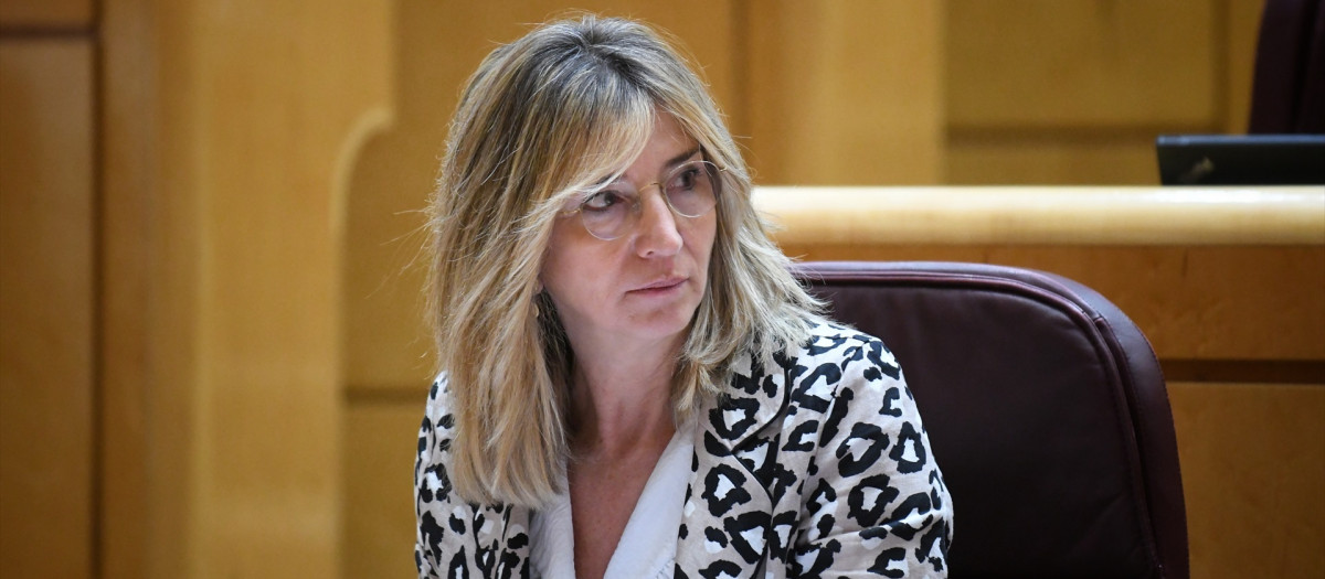 La portavoz del PP en el Senado, Alicia García