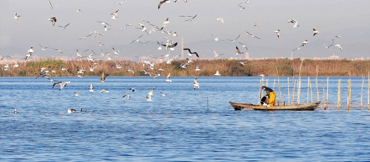 Una barca, en el Parque Natural de la Albufera, en Valencia