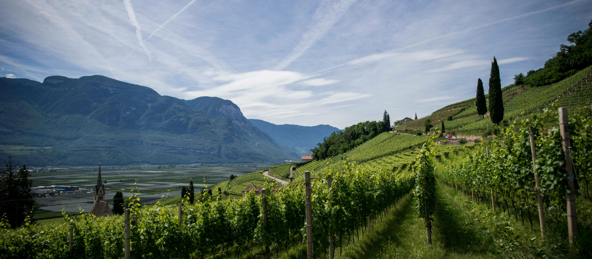 región vitivinícola se caracteriza por su entorno natural único