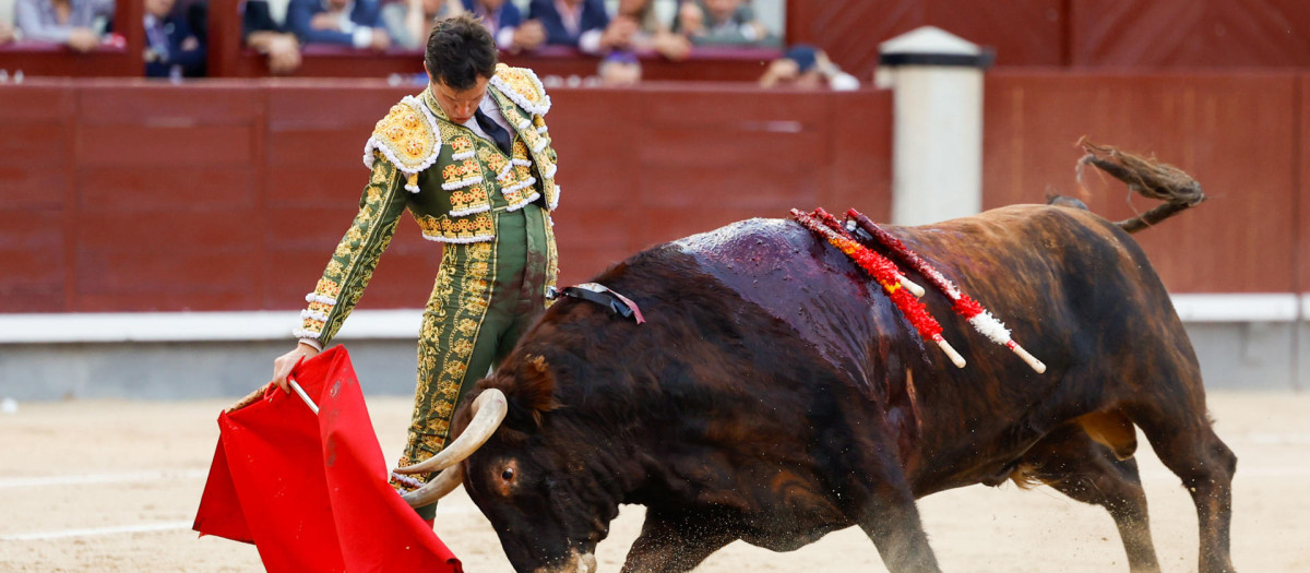 Daniel Luque este jueves en la Monumental de Las Ventas