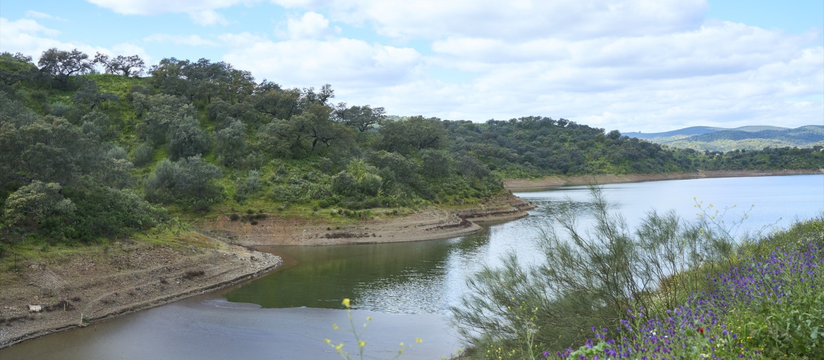 Detalle del embalse de la Minilla, en el Ronquillo, tras las lluvias caídas de la borrasca Mónica, a 11 de marzo de 2024 en Sevilla (Andalucía, España). Los embalses de la cuenca del Guadalquivir ganan 200 hectómetros con las lluvias de la borrasca Mónica
08 MARZO 2024
Joaquin Corchero / Europa Press
(Foto de ARCHIVO)
11/3/2024