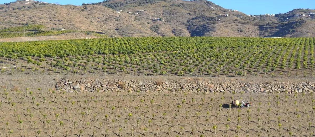 El paisaje andaluz fue testigo de este angustioso suceso