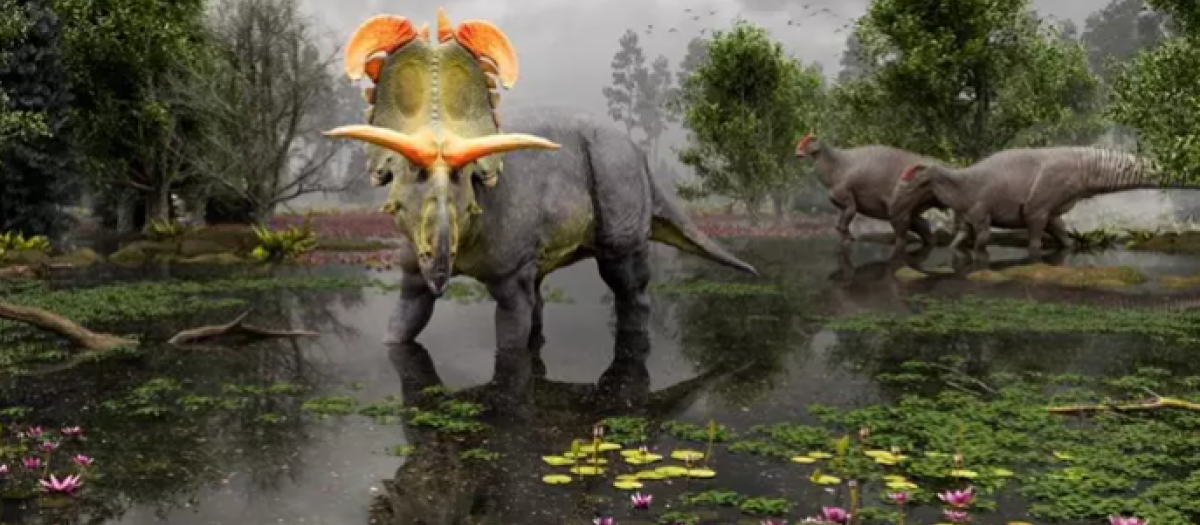 Reconstrucción de Lokiceratops en los pantanos de 78 millones de años del norte de Montana