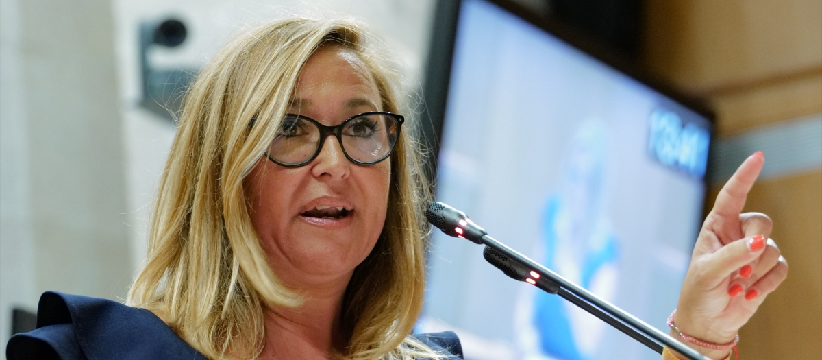 La portavoz del grupo parlamentario del PSOE de las Cortes de Aragón, Mayte Pérez, durante el Pleno de las Cortes de Aragón,
FABIÁN SIMÓN / EUROPA PRESS / CONTACTOPHOTO
(Foto de ARCHIVO)
02/9/2023