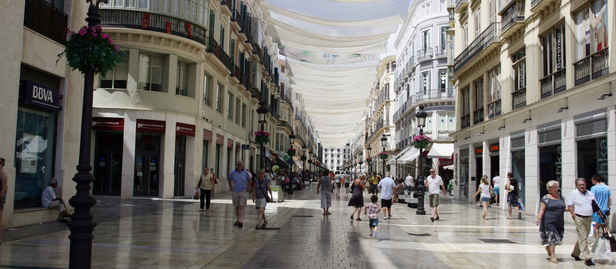 Además de comercios y entidades financieras, Larios acogerá el centro tecnológico de la empresa alemana