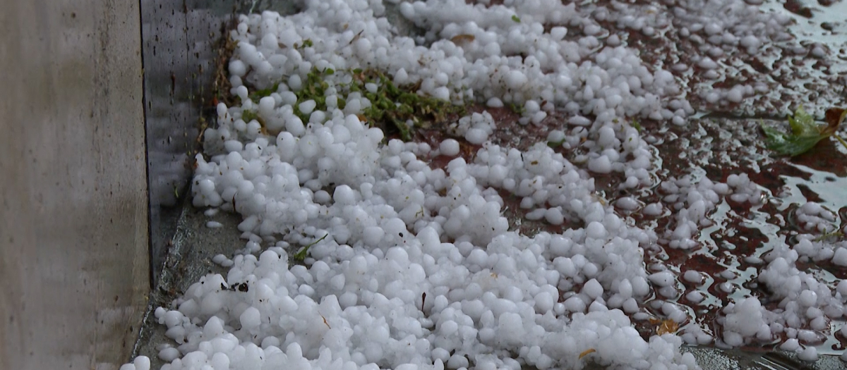 Una tromba de 10 minutos inunda Madrid con agua y granizo y deja árboles caídos