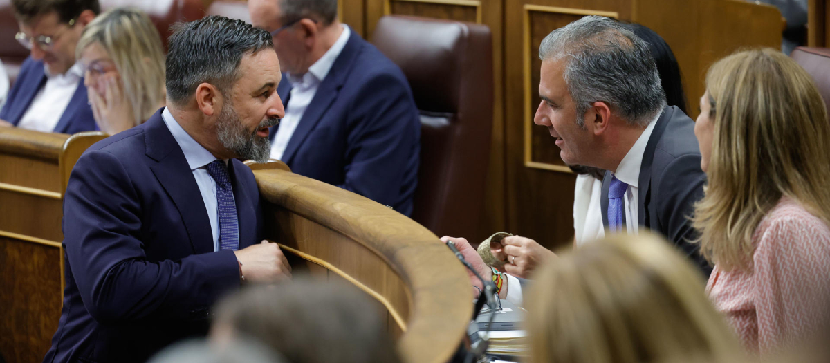 Santiago Abascal y Javier Ortega Smith durante el pleno del Congreso el pasado martes