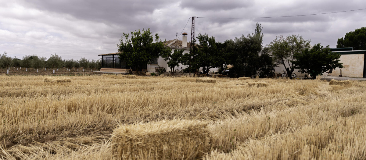 La zona en la que apareció el cadáver se ubica en las inmediaciones de la vivienda de la víctima