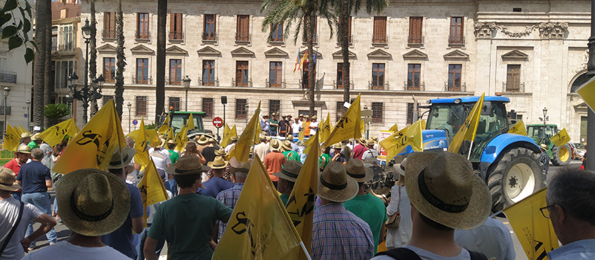 Concentración de agricultores valencianos que reclaman medidas urgentes al Gobierno central y la Unión Europea