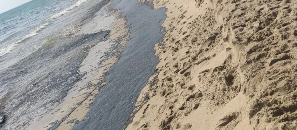 Imagen del vertido en una playa de El Saler, en Valencia