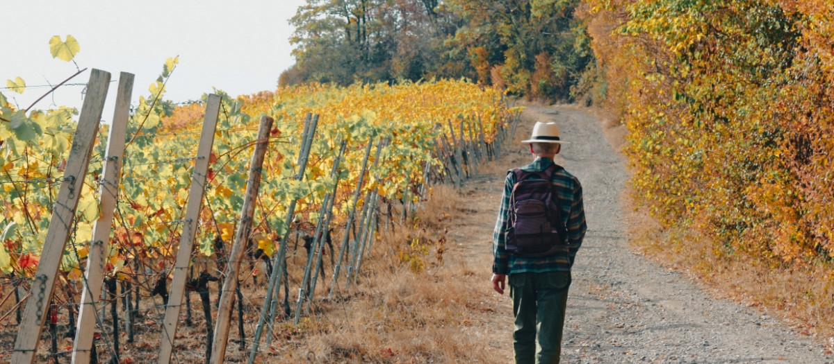 Rutas-de-rias-baixas