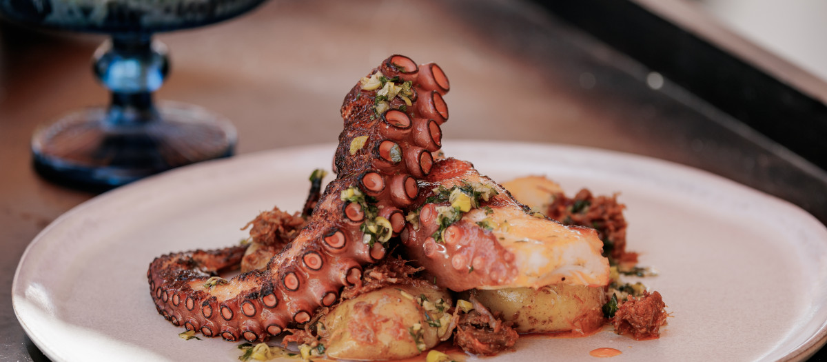 Pulpo