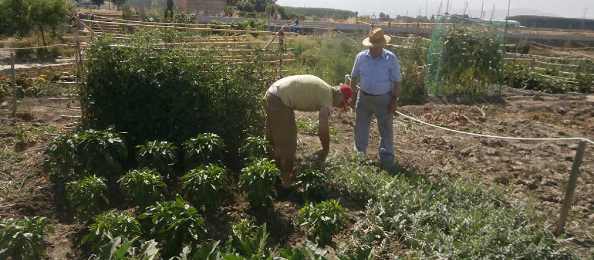 Un lugar dedicado al envejecimiento activo de las personas mayores de Granada