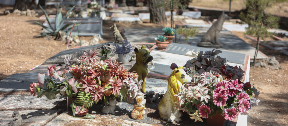 ‘El último parque' el único cementerio de animales de Madrid