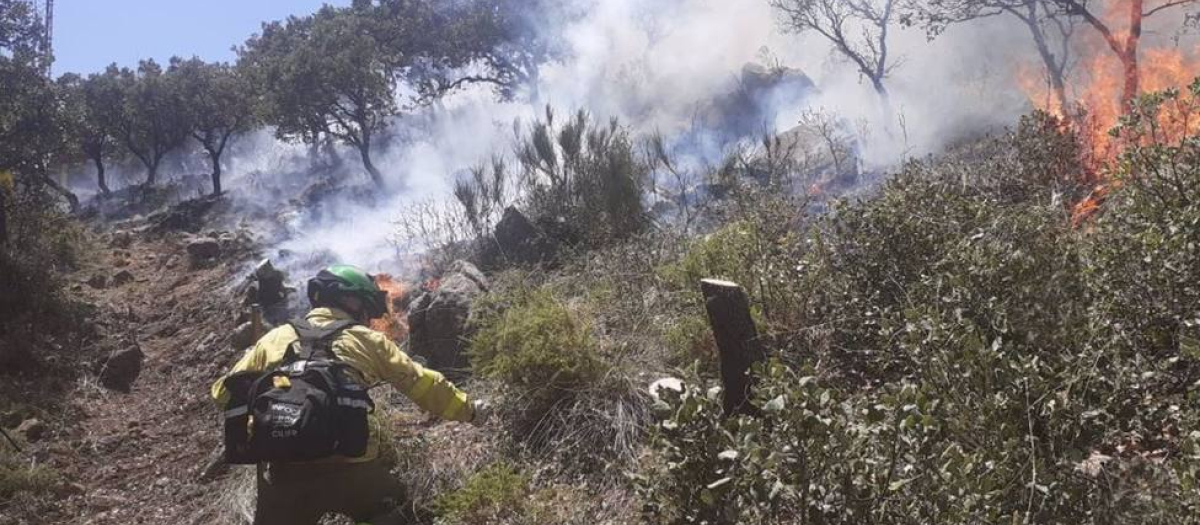 Atarfe pide a Junta y Gobierno la declaración de zona gravemente afectada tras el incendio