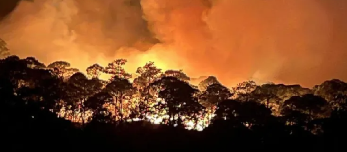 Devastadores incendios forestales en el oeste de Canadá