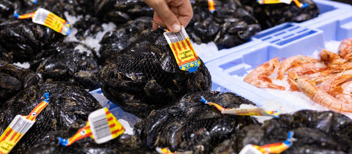 Clóchina valenciana en la pescadería de Mercadona