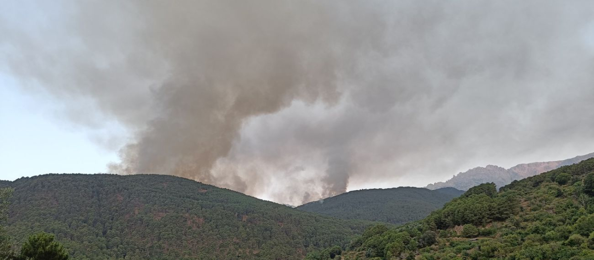 Los bomberos luchan contra un incendio declarado al sur de la sierra de Gredos