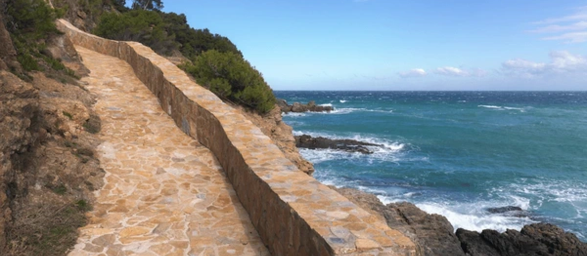 Camino de ronda