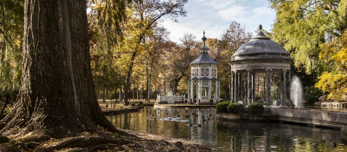 Jardines del Palacio Real de Aranjuez