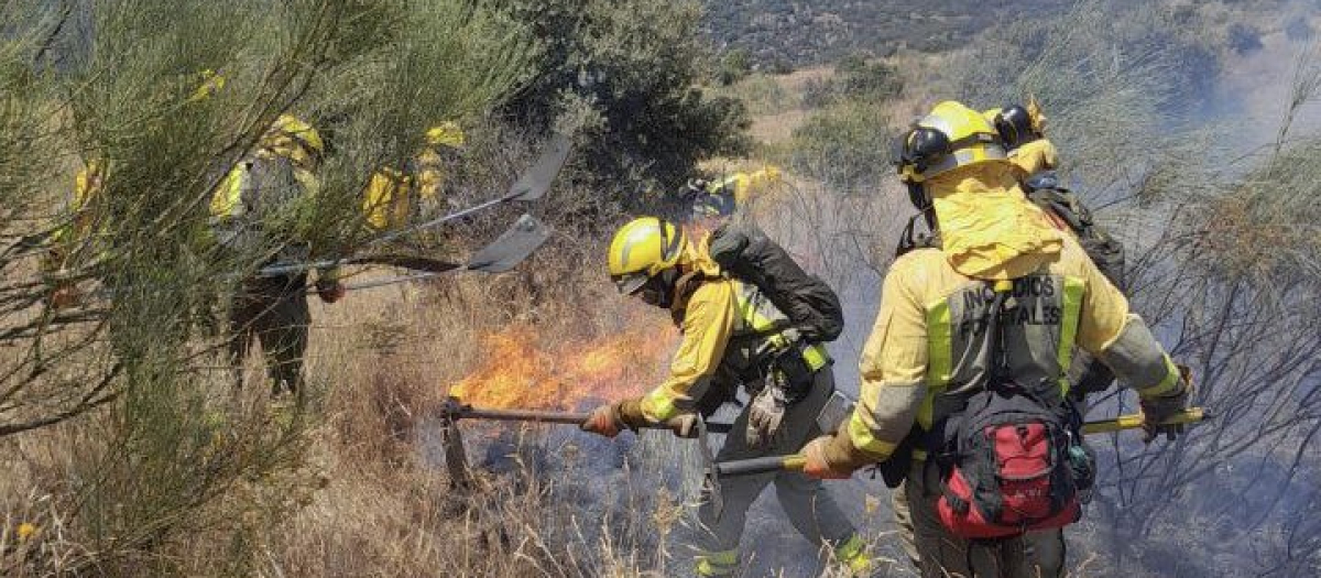 22 dotaciones de bomberos trabajan en la extinción de un incendio en El Molar (Madrid)