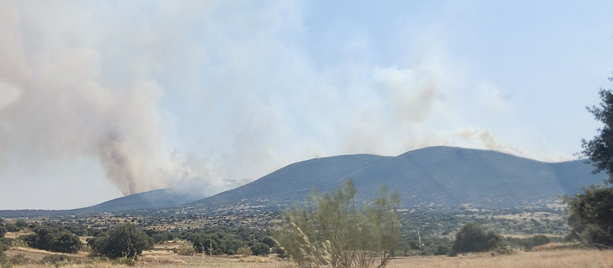 Incendio en La Estrella (Toledo)