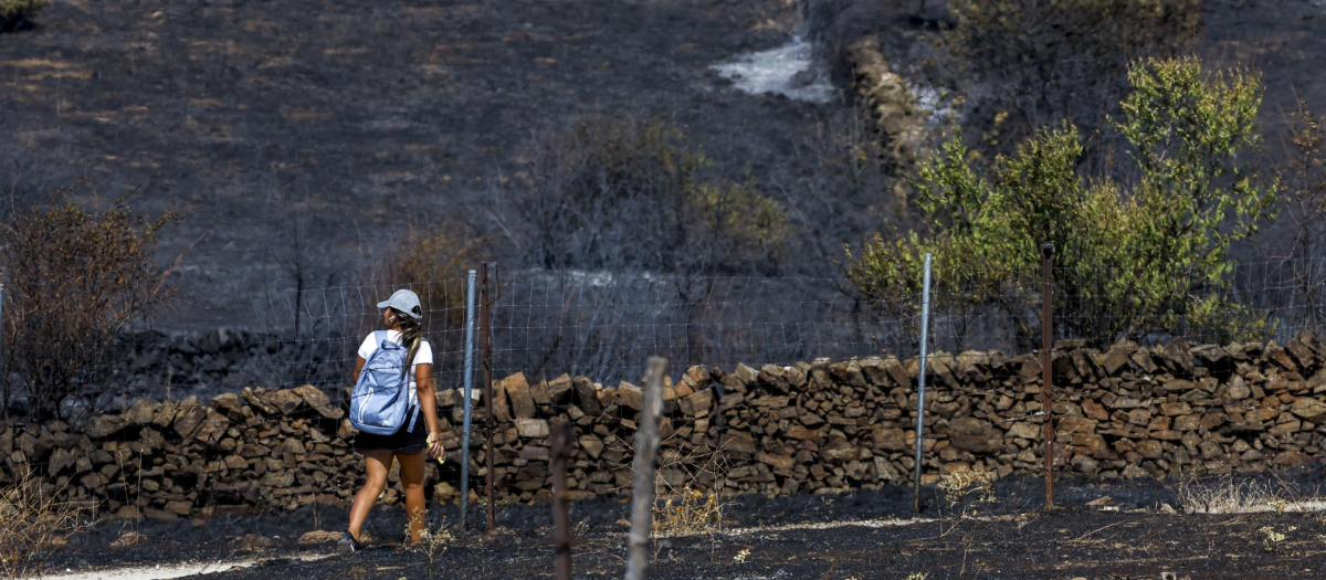 Vista general de la superficie afectada por el incendio en los términos municipales de El Molar y Pedrezuela, esta semana en Madrid