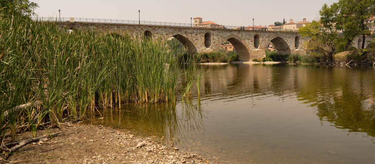 El paso del río Duero por Zamora