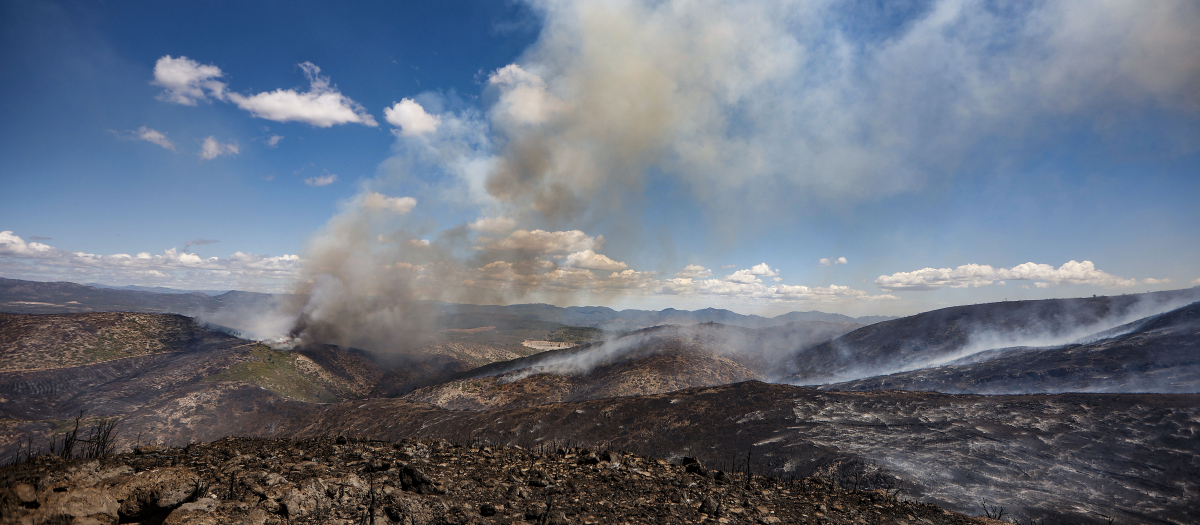 Zona calcinada del incendio de Bejís (Castellón)